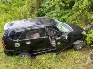 Lima Penumpang Luka-luka, Avanza Oleng dan Tabrak Tiang Listrik di Tikungan Desa Janju