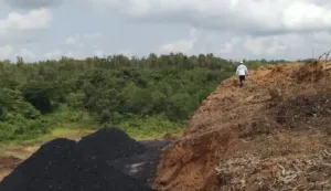 Tambang Ilegal Kembali Beroperasi, 3.000 Ton Batu Bara Ditemukan di Konsesi PT Bramasta Sakti