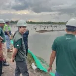 Dukung Pengembangan Tambak, PT Borneo Indah Marjaya dan PT Palma Plantasindo Salurkan Bibit Bandeng di Desa Lori