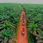 DPRD Kukar Perketat Pengawasan, Realisasi Plasma Sawit 20 Persen Jadi Sorotan