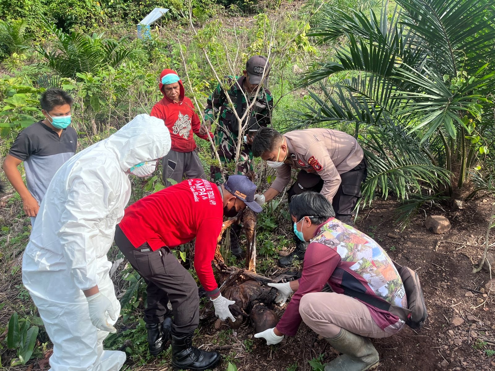 Mayat Pria Ditemukan Membusuk di Kebun Long Gelang, Diduga Warga Kerta Bhakti yang Hilang Berbulan-bulan