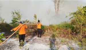 Lahan Gambut 4,13 Hektare Terbakar di Gunung Seteleng, Pemadaman Berlangsung hingga Dini Hari